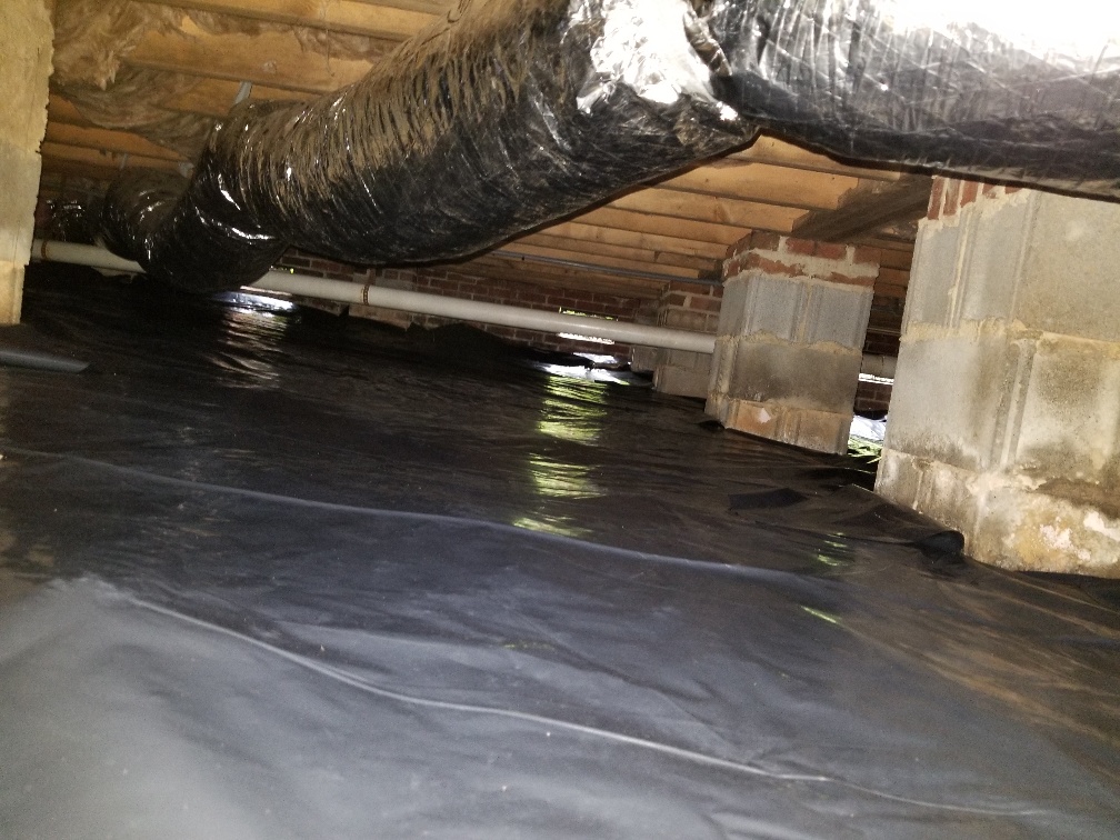 Mold Testing, Crawl Space Insulation, Waterproofing | Matthews, Mint ...