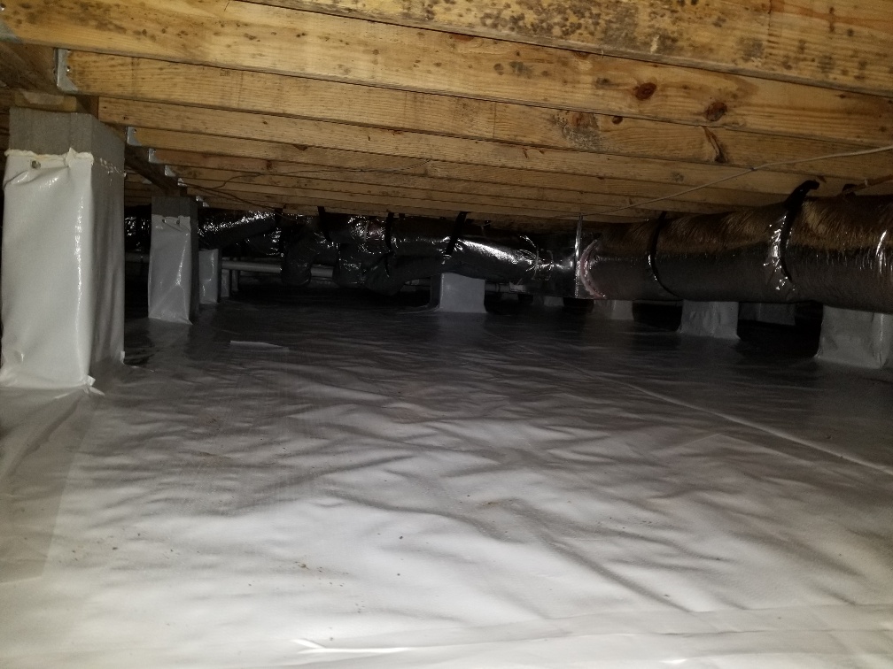 Mold Testing, Crawl Space Insulation, Waterproofing | Matthews, Mint ...