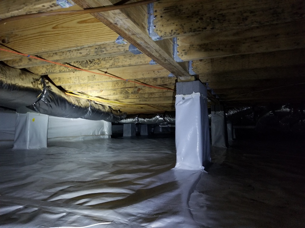 Mold Testing, Crawl Space Insulation, Waterproofing | Matthews, Mint ...