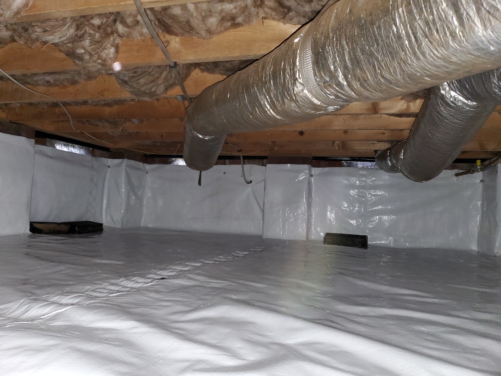 Mold Testing, Crawl Space Insulation, Waterproofing | Matthews, Mint ...